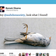 Illustration for article titled 19 Tweets From The Audubon Society/Barack Obama Twitter Feud